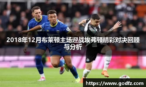 2018年12月布莱顿主场迎战埃弗顿精彩对决回顾与分析